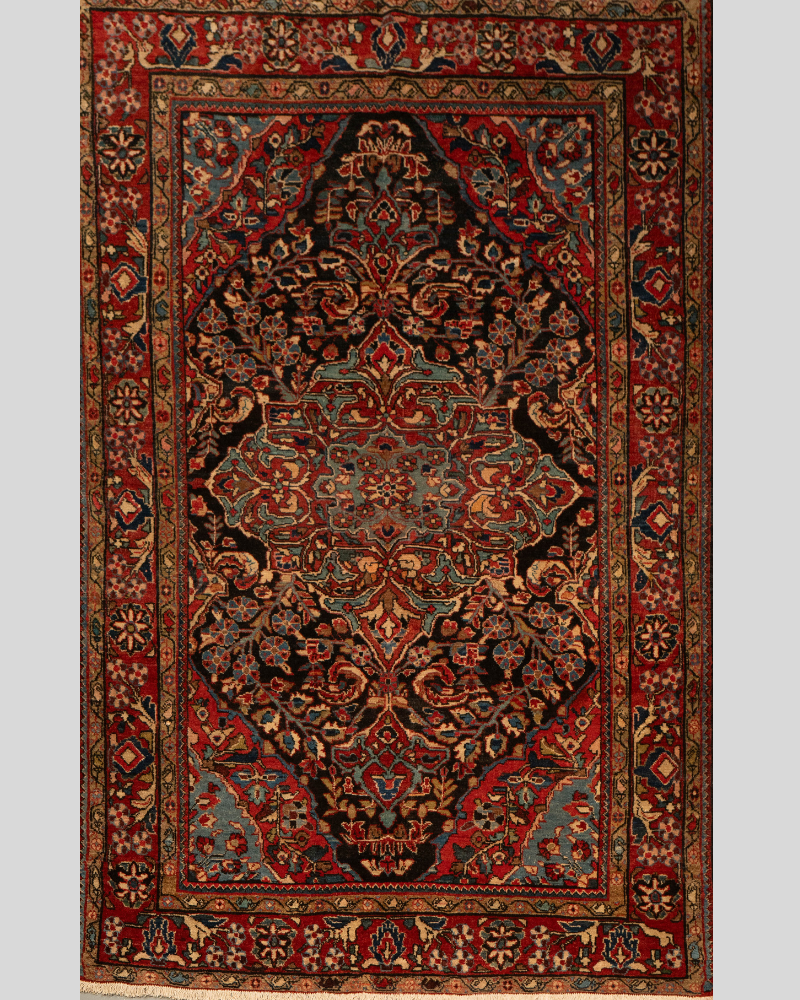 Persian-style medallion composition Carpet CPTHM10019