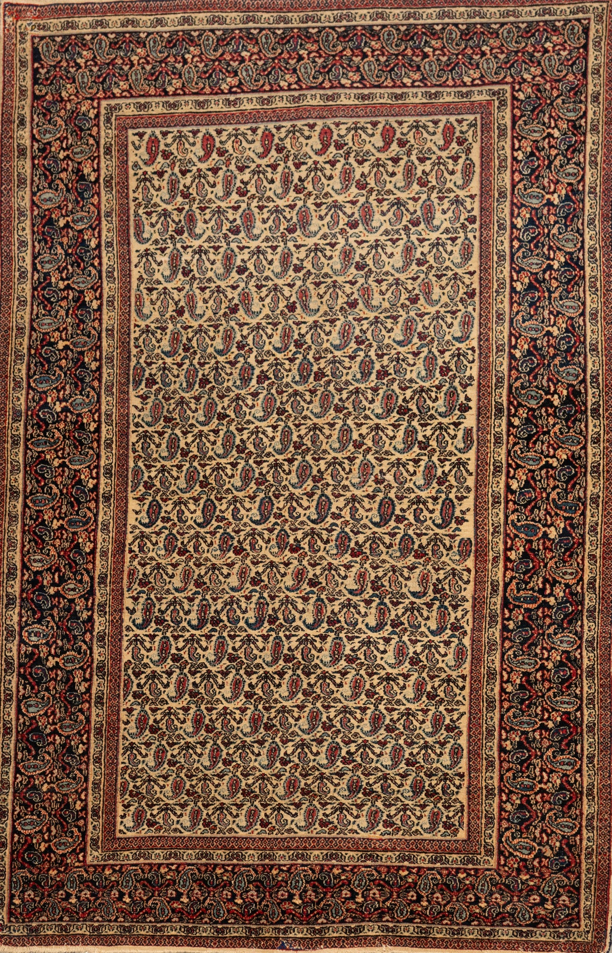 Paisley All-Over Pattern Rug CPTHM10023